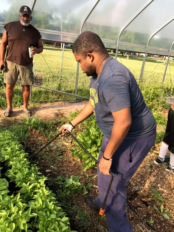 A young man working in a greenhouse.